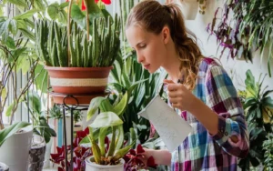 essential aspects of caring for indoor plants