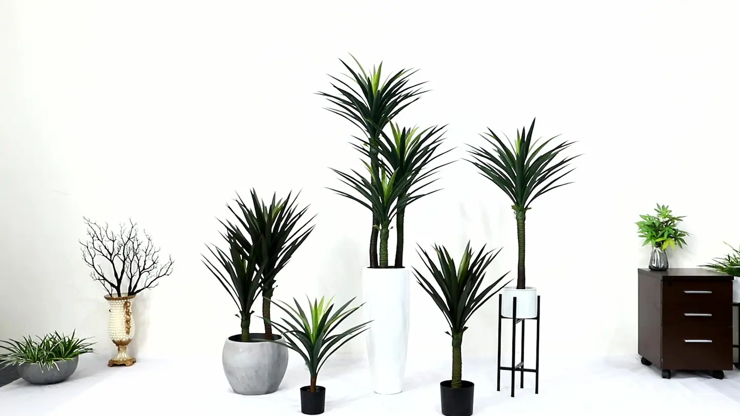 30 best houseplant for your home