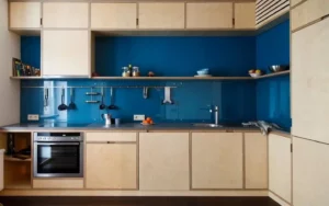 Units of Plywood Kitchen Cabinets