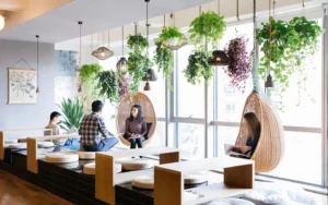 Benefits of Indoor Plants in Office decoration