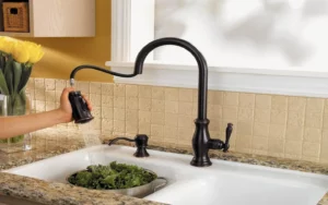 Kitchen Sink Faucet and Accessories